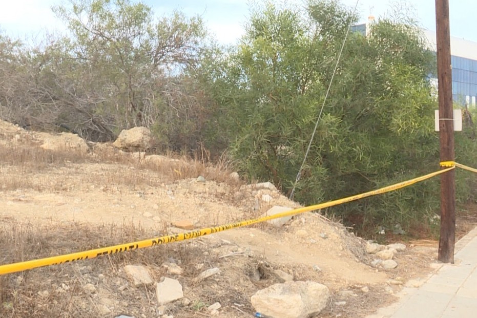 Screenshot 2025 11 03 091315