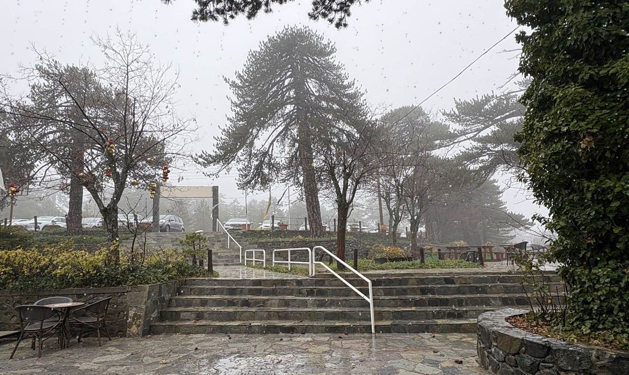 Screenshot 2025 12 09 235113