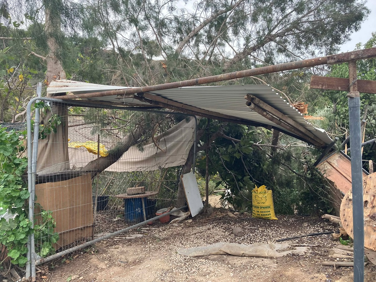 Ανεμοστρόβιλος «κτύπησε» περιοχές της επαρχίας Πάφου Έπεσε δέντρο, ζημιές σε υποστατικό (ΕΙΚΟΝΕΣ)