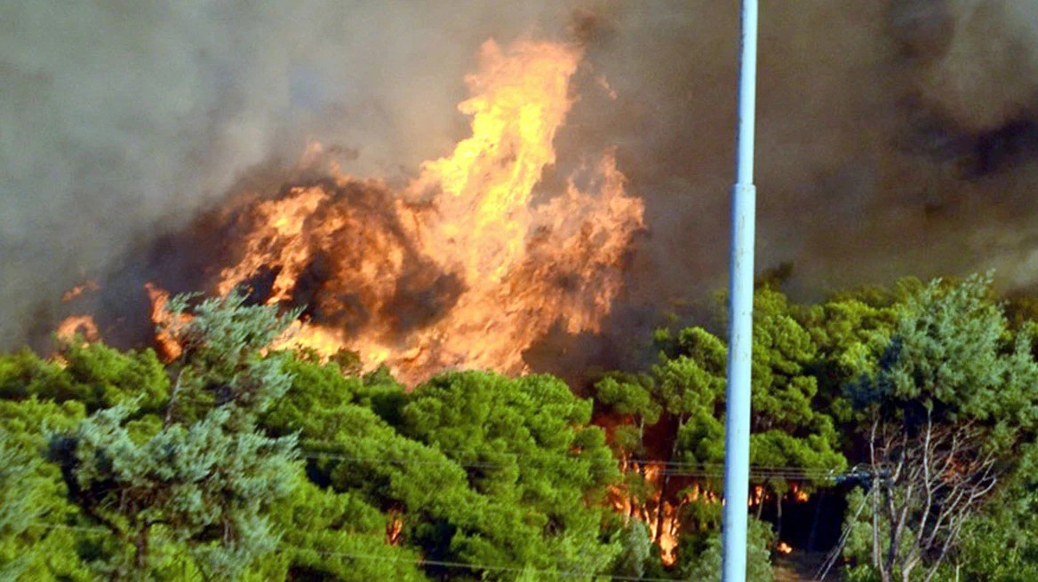 Λεμεσός: Σύλληψη 33χρονου για πρόκληση φωτιάς στην ύπαιθρο Προσπαθούσε να κάψει άγρια χόρτα