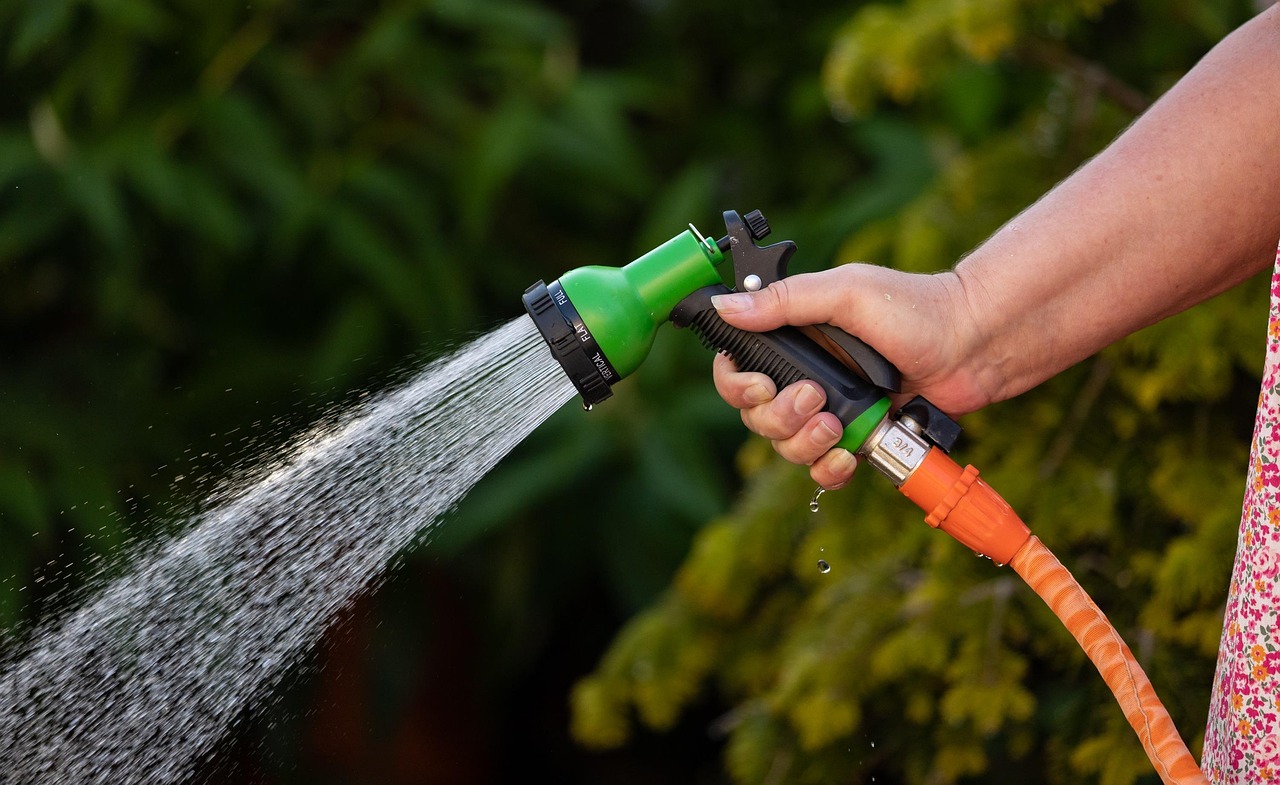 garden-hose-6302165_1280.jpg