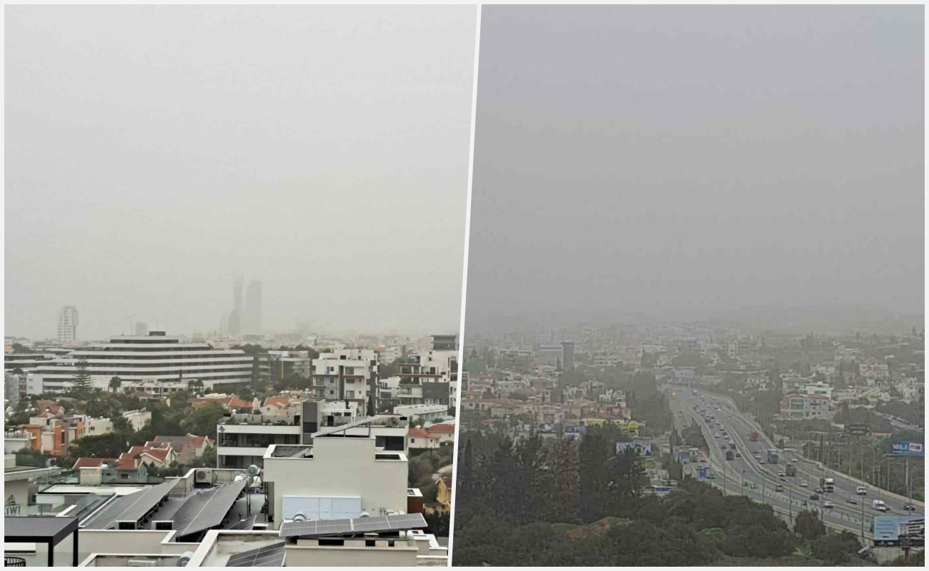 skoni lemesos genaris 2026