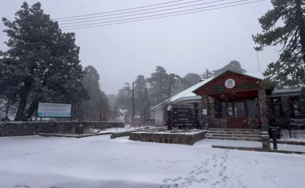 xionia troodos tmima daswn