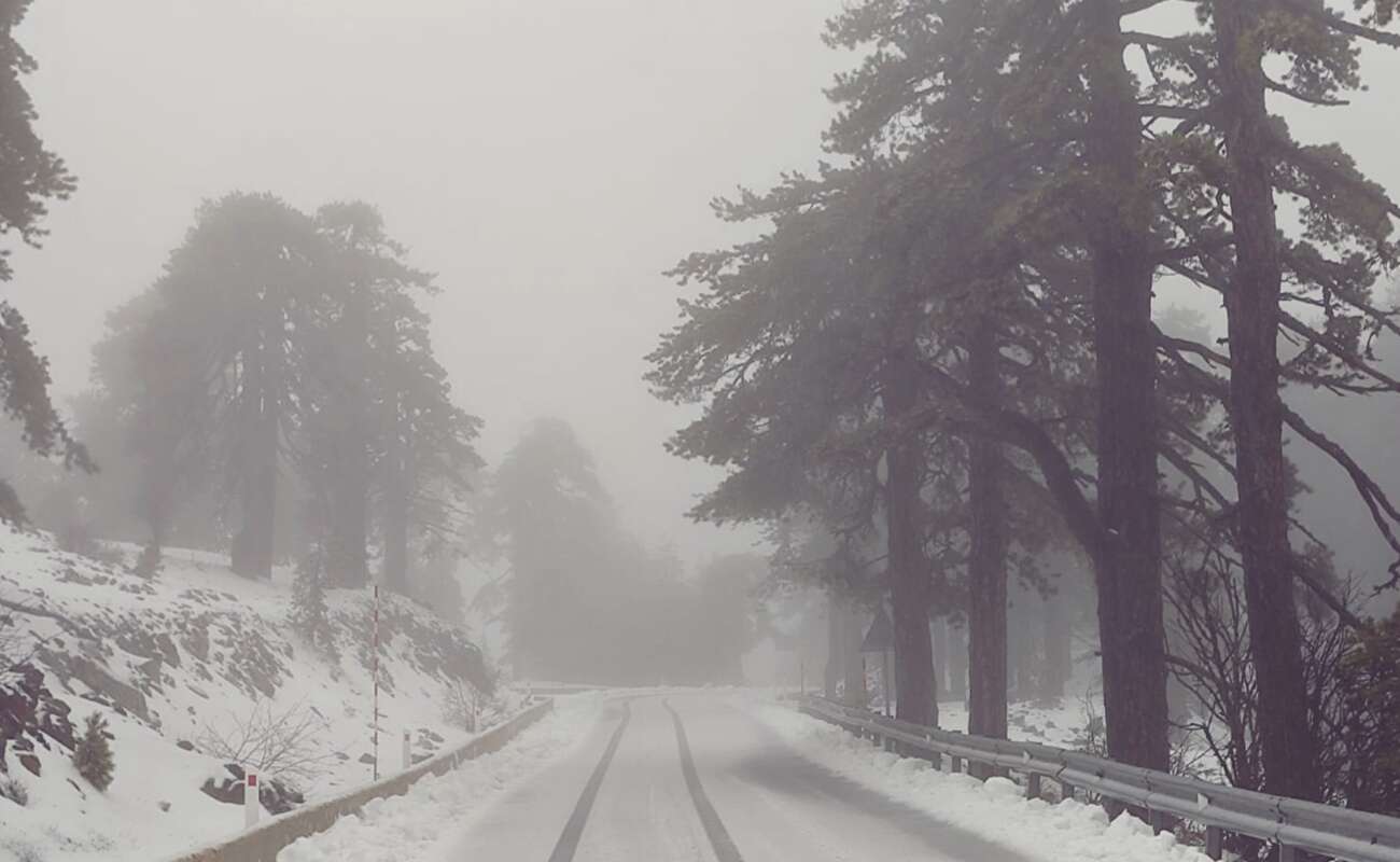xionia troodos