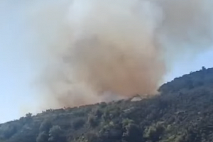 Πυρκαγιά σε εξέλιξη μεταξύ Όμοδους και Μαντριών (BINTEO)