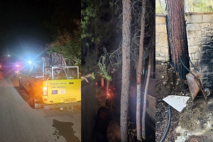 ΦΩΤΟ: Εθελοντές έσωσαν την υστάτη το Τρόοδος από νέο πύρινο εφιάλτη
