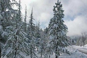 «Στο «ψυγείο» η Κύπρος από Δευτέρα – Έρχονται χιόνια, βροχές και ισχυροί άνεμο