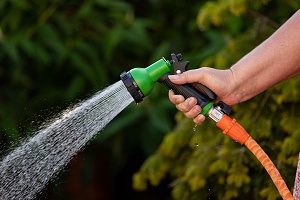 garden-hose-6302165_1280.jpg