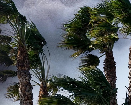 Τσουχτερό κρύο, ισχυρά μποφόρ και καταιγίδες: Με τι καιρό θα κάνουμε παραμονή Πρωτοχρονιάς