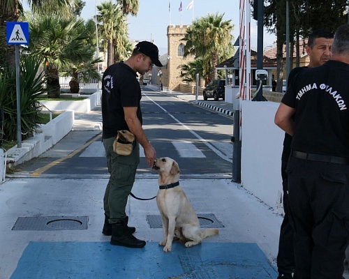 Ψάχνουν απαντήσεις στα κινητά για το κύκλωμα με «εγκέφαλο» βαρυποινίτη στις Κεντρικές Φυλακές