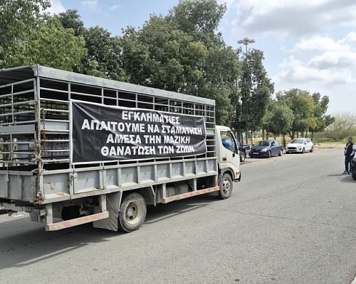 Σοκ από τα στοιχεία: Χιλιάδες ζώα υπό θανάτωση και αβέβαιο το μέλλον της παραγωγής – Η «ακτινογραφία» της αγοράς και η επόμενη μέρα