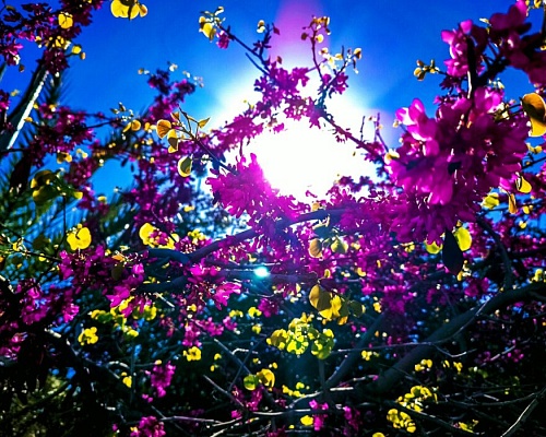 Βροχές και καταιγίδες μέχρι το Μεγάλο Σάββατο- Ο καιρός το Πάσχα