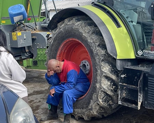 Σ’ αυτά τα τηλέφωνα μπορούν να καλούν όσοι κτηνοτρόφοι χρειάζονται ψυχολογική βοήθεια