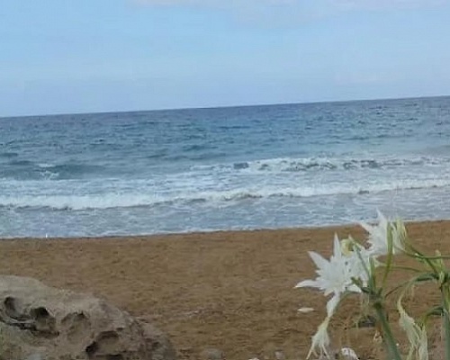 Πάφος: Με φίλους για μπάνιο ήταν ο 30χρονος που ανασύρθηκε νεκρός