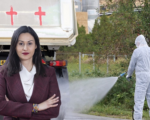 «Όποιος δεν κάνει τη δουλειά του να πάει σπίτι του»: Οργισμένη δηλώνει η Παναγιώτου για τον αφθώδη πυρετό