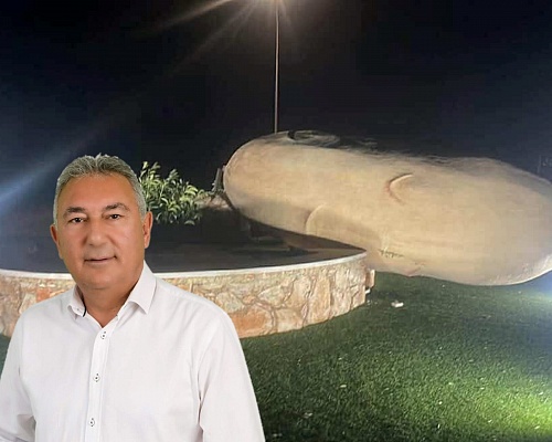 «Εκρίζωσαν» την Big Potato οι ισχυροί άνεμοι: «Αυτοψία» στην Πατάτα της Ξυλοφάγου για καταγραφή ζημιών