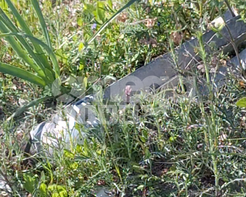 ΒΙΝΤΕΟ από το πεδίο βολής Καλού Χωριού: Πυρομαχικά με ενσωματωμένο εκρηκτικό μηχανισμό σε χώρο που κυκλοφορούν πολίτες