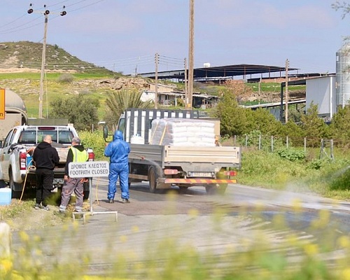 Αφθώδης πυρετός: Επηρεάστηκε το 5,5% του ζωικού κεφαλαίου της Κύπρου