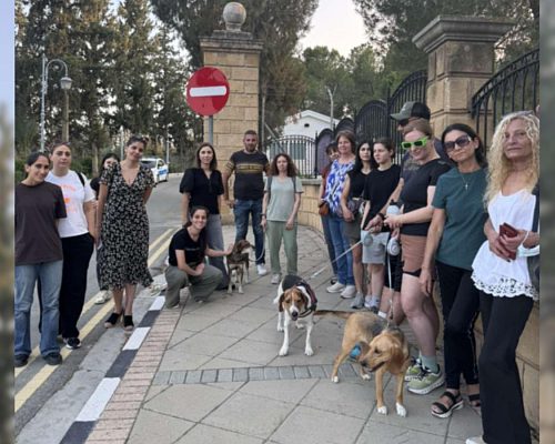 Ζητούν παρέμβαση ΠτΔ για την ευθανασία των τριών σκύλων: «Θα πληρώσουν με τη ζωή τους λάθη που δεν τους αναλογούν»