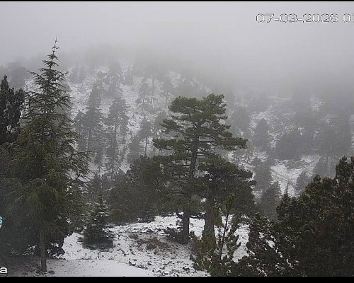 Λευκό σκηνικό στο Τρόοδος - Πιθανή νέα χιονόπτωση και σήμερα (ΦΩΤΟ)