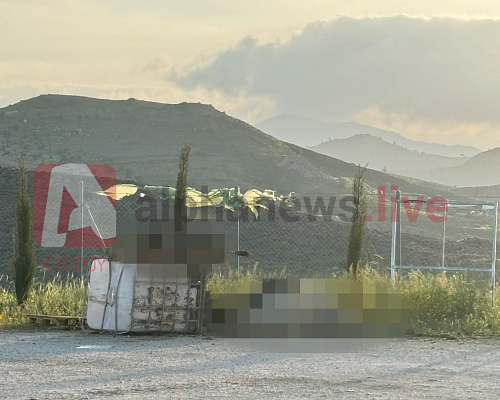 Nτοκουμέντο φρίκης στην Ορούντα: Νεκρές αγελάδες έγιναν βορά για αδέσποτους σκύλους