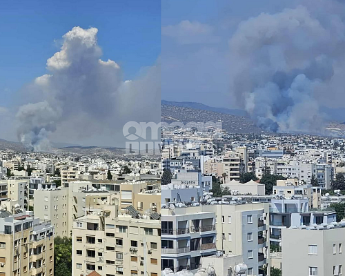 Πυρκαγιά / Λεμεσός: Οροθετήθηκε η φωτιά Προστατεύτηκαν σπίτια και υποστατικά