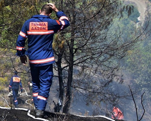 Τμήμα Δασών: Υπό πλήρη έλεγχο δασική πυρκαγιά στην περιοχή Τροόδους