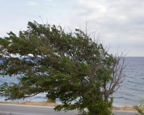 ΠΡΟΣΟΧΗ! Πολύ ισχυροί μέχρι και σφοδροί άνεμοι σήμερα