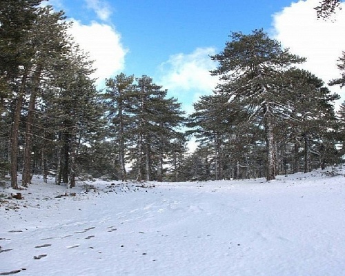 Το σκηνικό του καιρού μέχρι το τέλος του 2025 - Πότε θα δούμε «Λευκό» Τροόδος