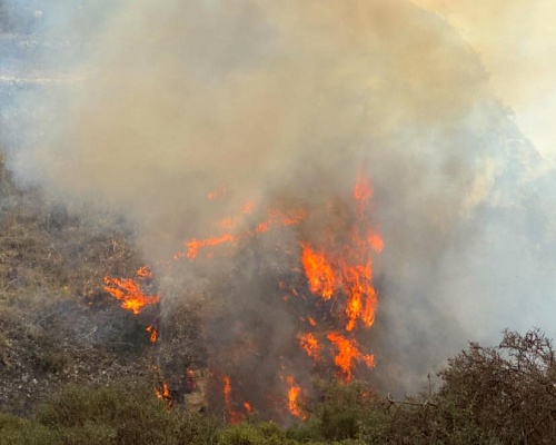 Ολονύχτια μάχη με τις φλόγες στην Πάφο: «Η κατάσταση είναι σαφώς καλύτερη»