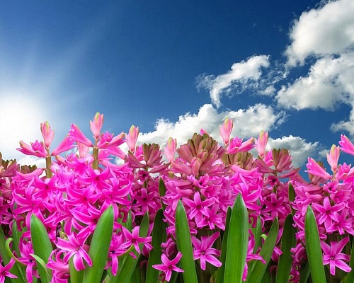 Επανέρχεται η σκόνη στην ατμόσφαιρα – Αισθητή άνοδος της θερμοκρασίας