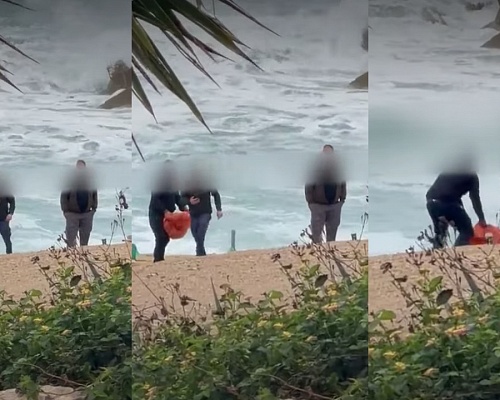 «Ποινικό αδίκημα, όχι αμέλεια» λέει η Επίτροπος για τη νεκρή χελώνα