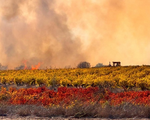 Ολονύχτια μάχη με τις φλόγες στο Στρουμπί– Νέες ρίψεις από αέρος νωρίς το πρωί