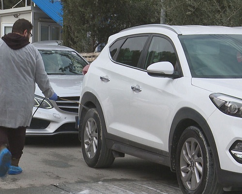 Συναγερμός για τον αφθώδη πυρετό: Πάνω από 45.000 εμβολιασμοί στα κατεχόμενα