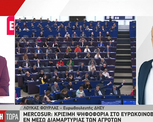 Αποστασιοποιείται ο Φουρλάς για συμφωνία Mercosur: «Εμένα η ψήφος μου δεν είναι δεδομένη για το τι θα πράξω» (ΒΙΝΤΕΟ)