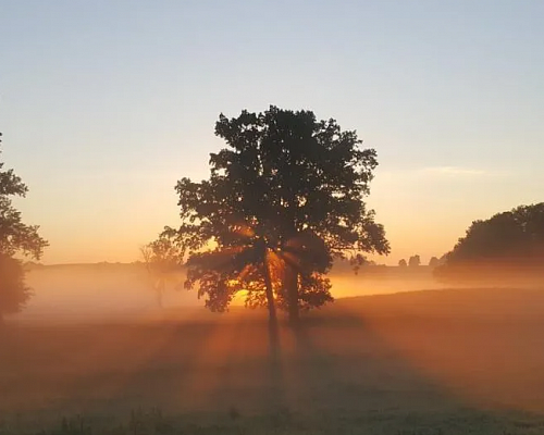 Έρχεται σκόνη και άνοδος της θερμοκρασίας – Πότε θα δούμε ξανά βροχές