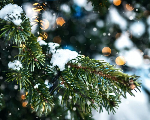 Άστατος καιρός με ενισχυμένους ανέμους- Πιθανό χιόνι απόψε στο Τρόοδος