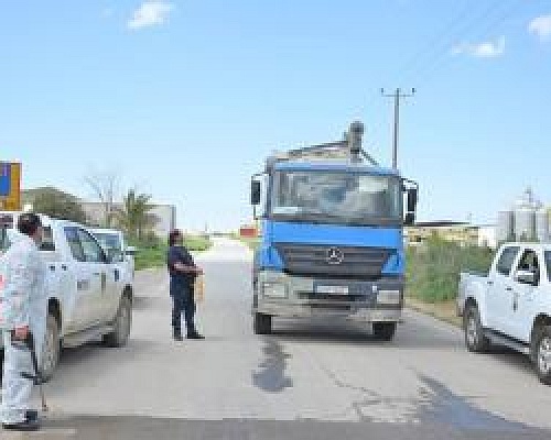 Κλιμακώνεται η ανησυχία για τον αφθώδη πυρετό-Ξεπερνά το 6% το ποσοστό θανατώσεων σε πληθυσμό 310 χιλιάδων χοίρων