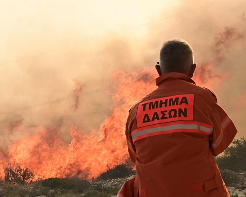 Ανεγκέφαλοι παρολίγο να κάψουν το Δασικό πάρκο Αγλατζιάς, έριξαν κροτίδα Ανεγκέφαλοι παρολίγο να κάψουν το Δασικό πάρκο Αγλατζιάς, έριξαν κροτίδα