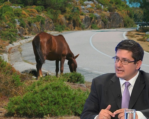 Πόσο... άλογος είναι τελικά ο νόμος για τα άλογα, τα ρούχα και τα χαλιά;