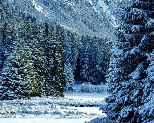 ΤΡΟΟΔΟΣ: Νέα χιονόπτωση χαρίζει όμορφες εικόνες-(Βίντεο)