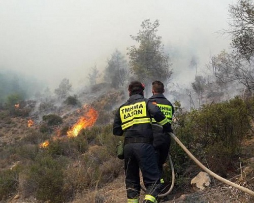 Πυρκαγιά με το «καλημέρα» στην Πάφο, άμεση η επέμβαση των πυροσβεστικών δυνάμεων