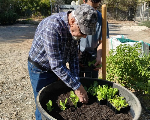 ΒΙΝΤΕΟ: Συνταξιούχοι συναντούν τη φύση, καλλιεργούν και προσφέρουν τα προϊόντα τους