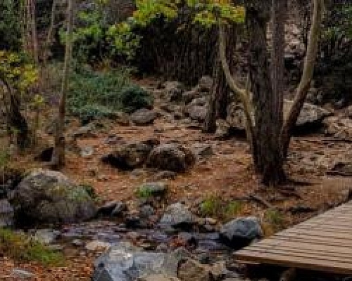 Το πρόστιμο για camping σε κρατικό δάσος χωρίς άδεια-Η ανακοίνωση του Τμήματος Δασών