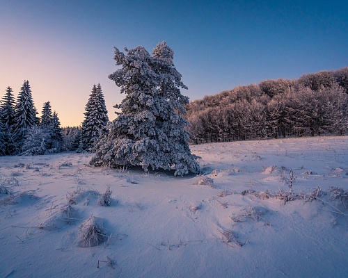 ΤΡΟΟΔΟΣ: Στα λευκά οι κορυφές του – Ξεκίνησε η χιονόστρωση από το μεσημέρι