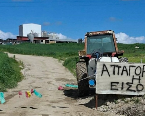 Κραυγή αγωνίας από αγρότες για αφθώδη: «Η Κύπρος θα χάσει την κτηνοτροφία της»