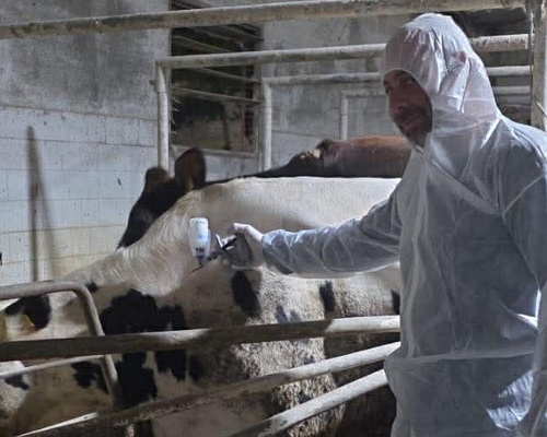 «Άδικη κι ατεκμηρίωτη»: Έντονη αντίδραση κτηνιάτρων για βίντεο με θανατώσεις ζώων