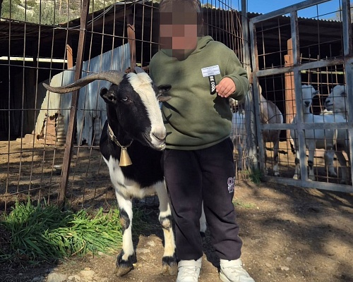 Συγκλονίζει κτηνοτρόφος:«Έχουμε μιαν αιγιαν σαν κόρη μας,θα έρθει η σειρά μας»