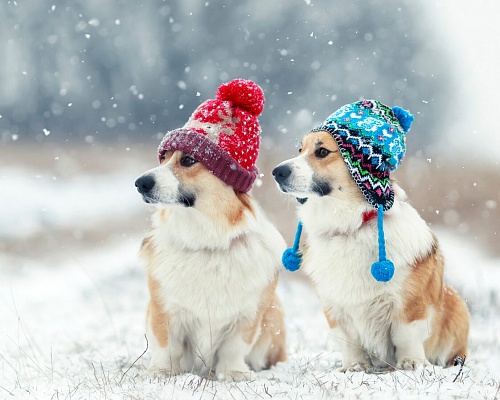 Παραμένει το ψυχρό σκηνικό-Αναμένονται μεμονωμένες βροχές και χιονόπτωση