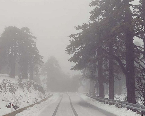 xionia troodos
